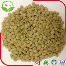 Big Size Chinese Green Lentils